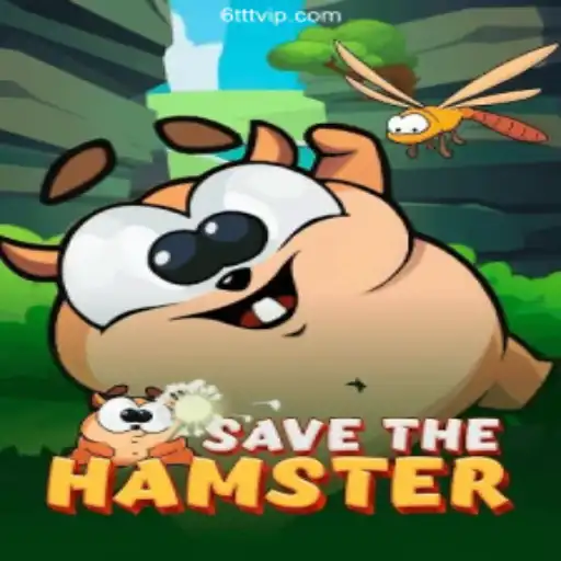 Discovering SavetheHamster: A Fun Adventure Paired with 6TTT Casino Excitement